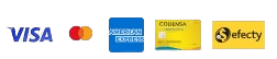 Payment methods: Visa, Mastercard, American Express, Codensa, Efecty
